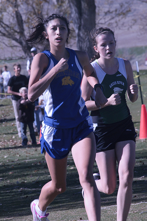 Cross Country matches historical best